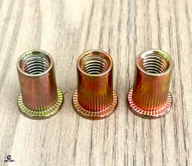 CHỐT NHỰA NGÀNH MỘC